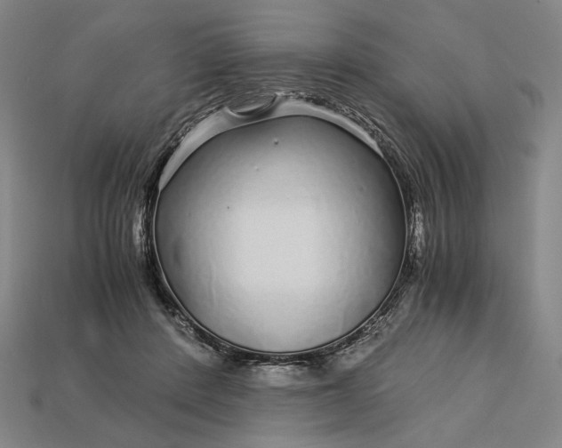 X0000112880408200909111447