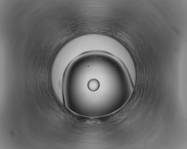 X0000112880415200909111447