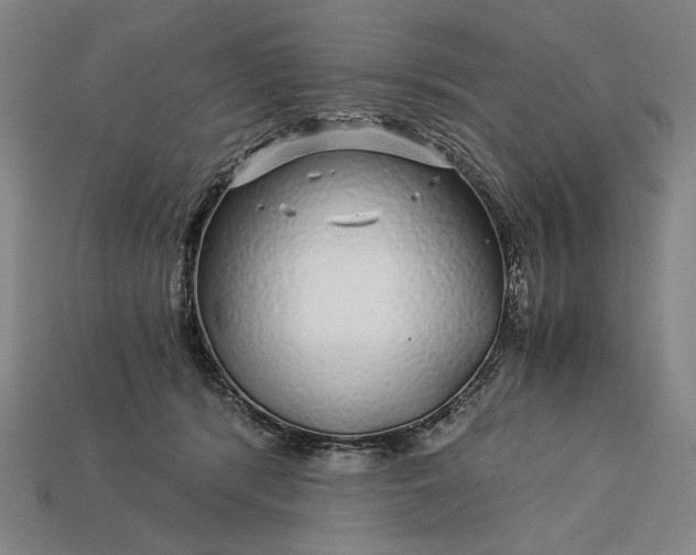 X0000112880416200909111447