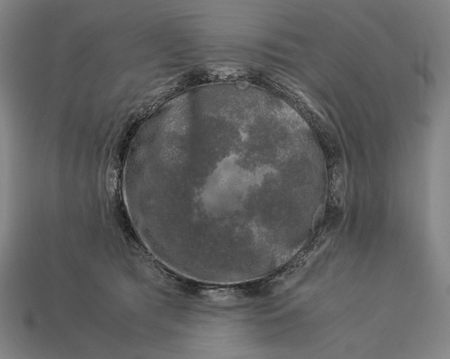 X0000112880417200909111447