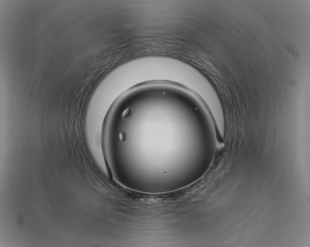 X0000112880419200909111447