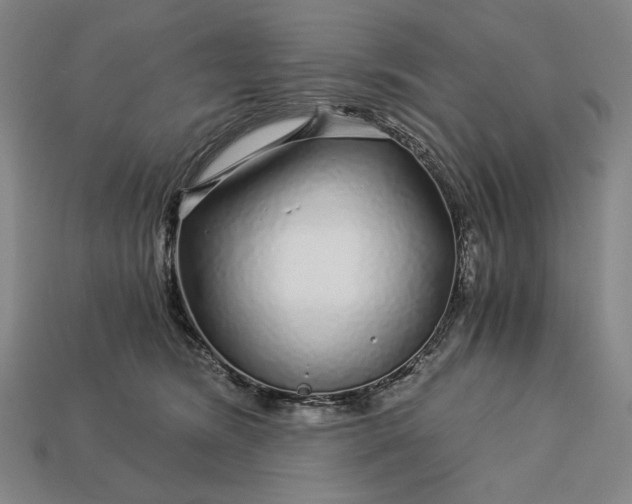 X0000112880420200909111447