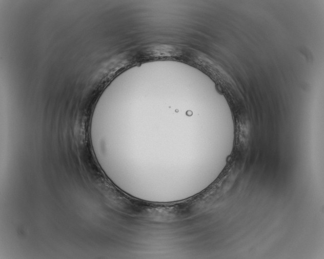 X0000112880422200909111447