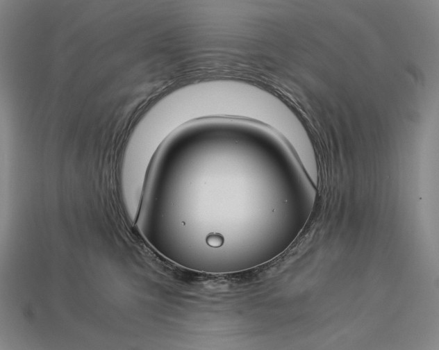 X0000112880423200909111447