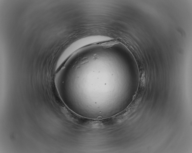 X0000112880424200909111447