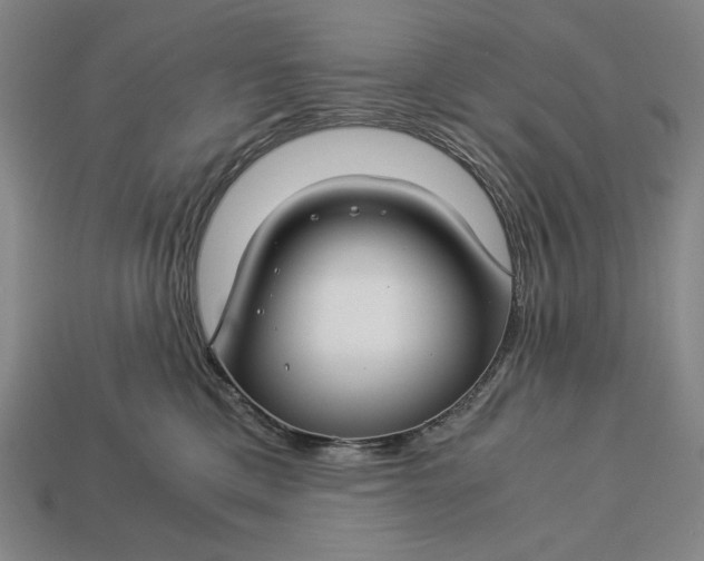 X0000112880425200909111447