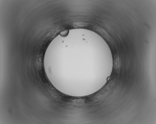 X0000112880426200909111447