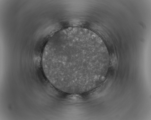 X0000112880427200909111447