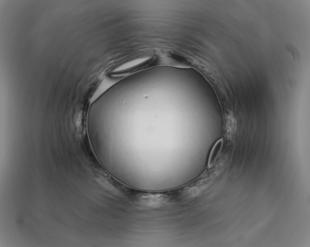 X0000112880428200909111447