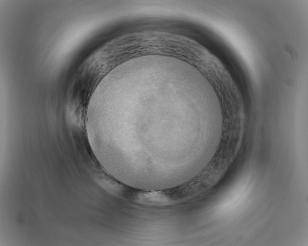 X0000112880431200909111447