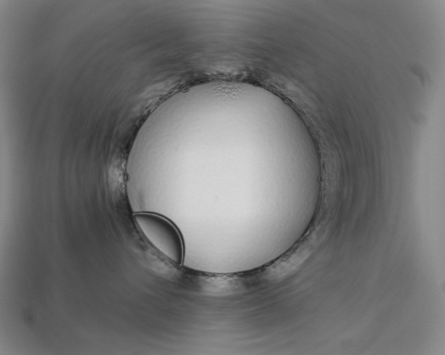 X0000112880432200909111447