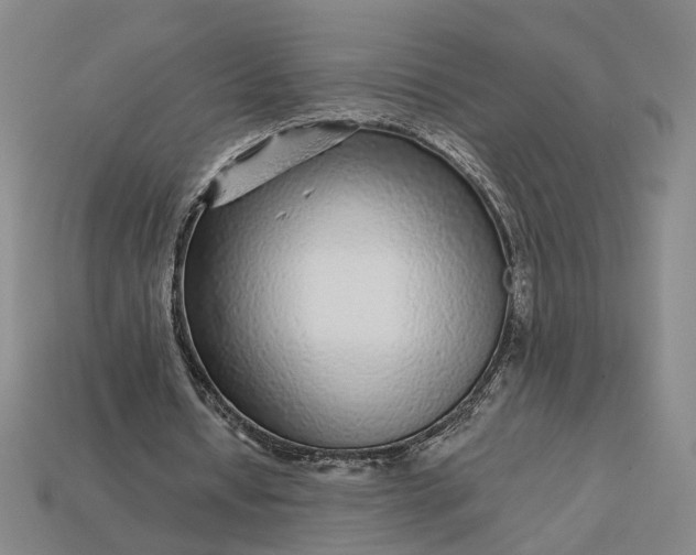 X0000112880434200909111446