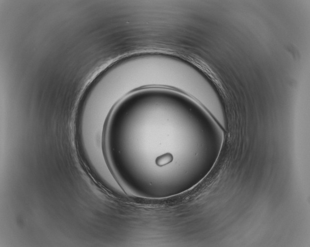 X0000112880436200909111447