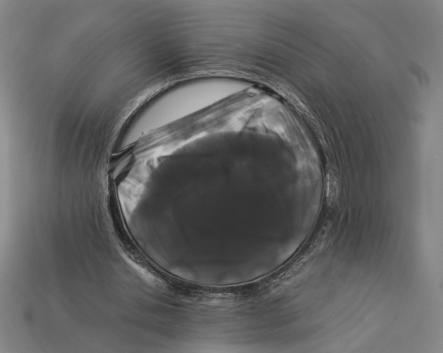 X0000112880438200909111447