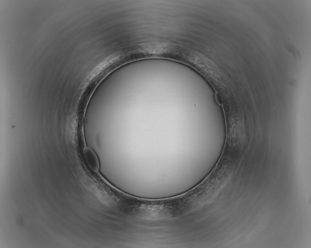 X0000112880440200909111447