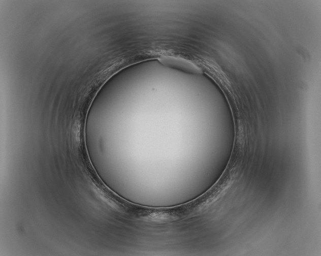 X0000112880441200909111447