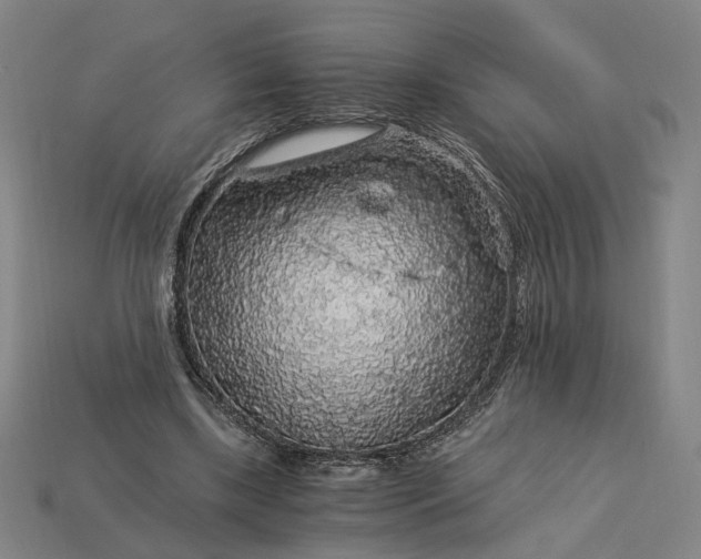 X0000112880443200909111447