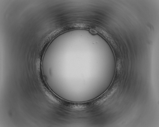 X0000112880445200909111447