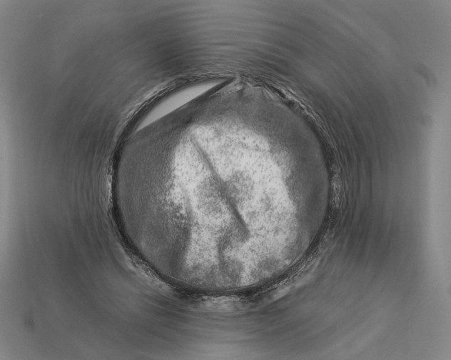 X0000112880446200909111447