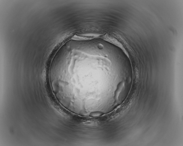 X0000112880447200909111447