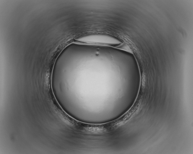 X0000112880449200909111447