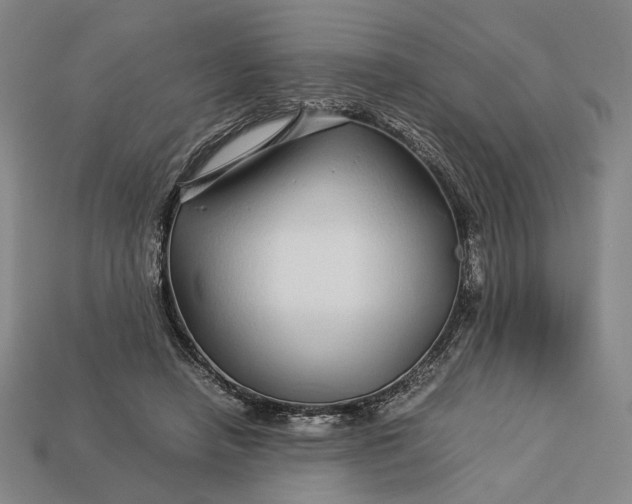 X0000112880450200909111447