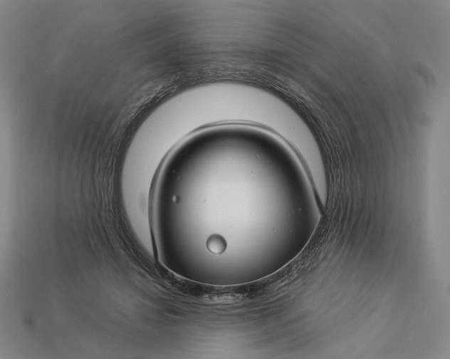 X0000112880452200909111447