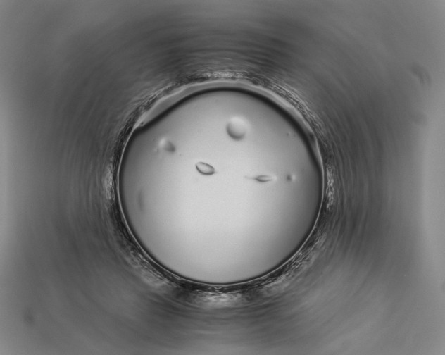 X0000112880453200909111447