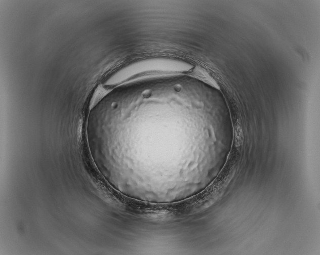 X0000112880454200909111447