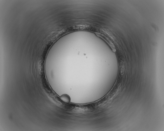 X0000112880455200909111447