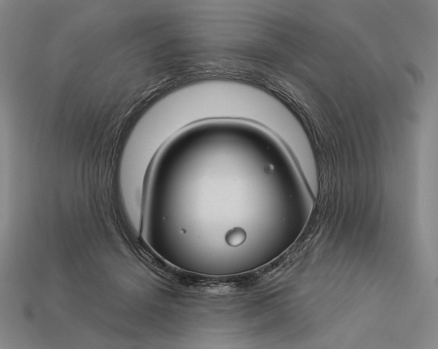 X0000112880456200909111447