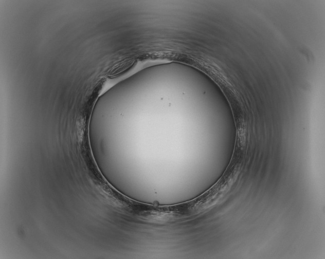 X0000112880458200909111447