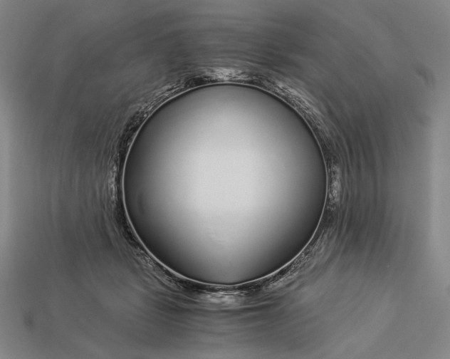 X0000112880461200909111447