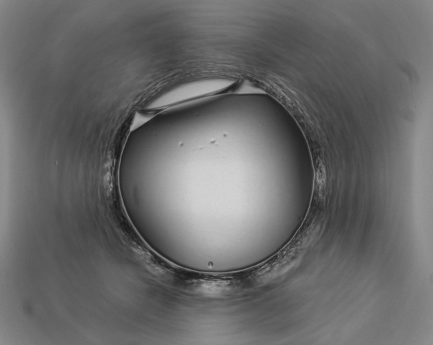 X0000112880462200909111447