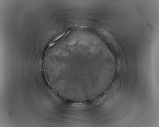 X0000112880465200909111447