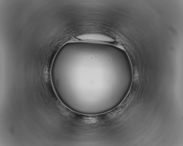 X0000112880469200909111447