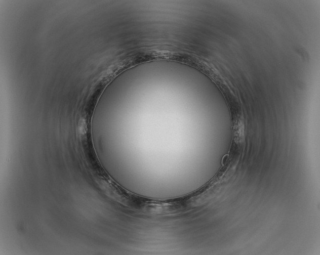 X0000112880472200909111447