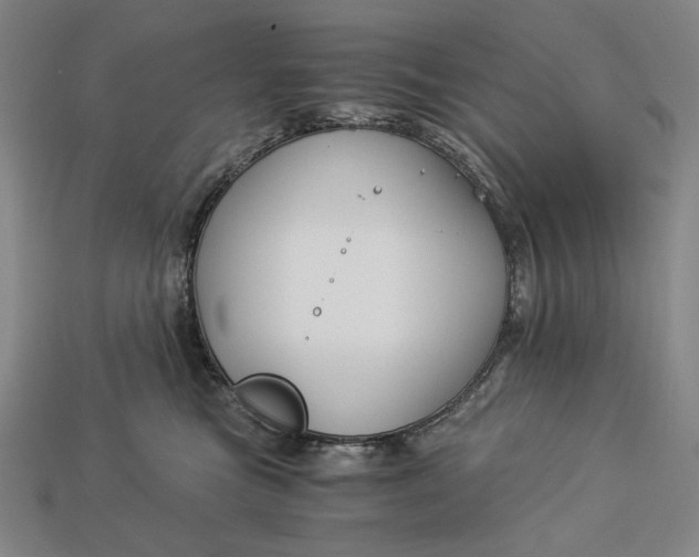 X0000112880473200909111447