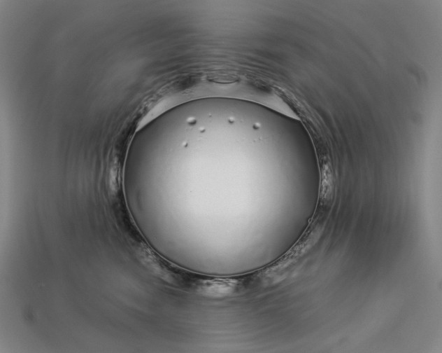 X0000112880474200909111447