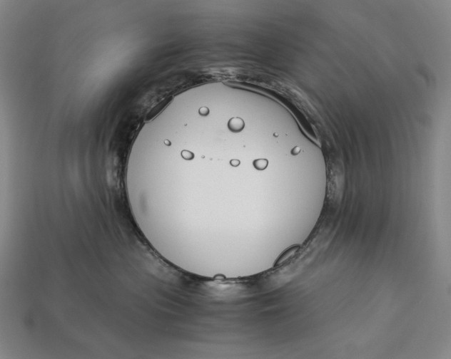 X0000112880477200909111447