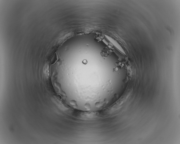 X0000112880479200909111447