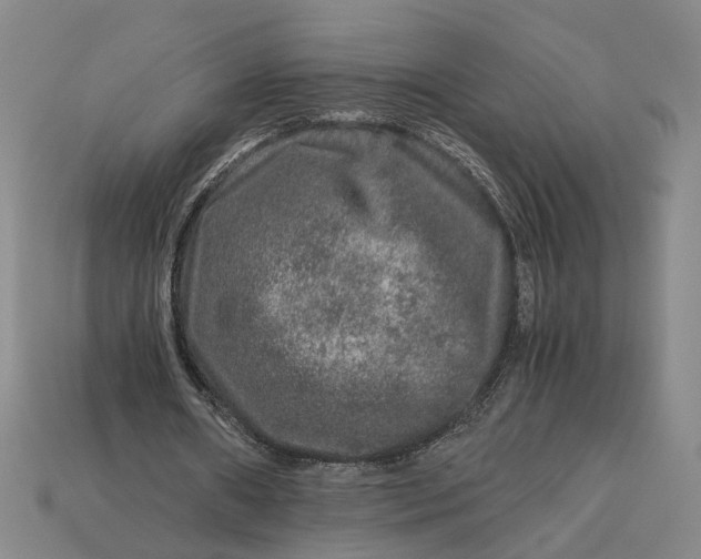 X0000112880482200909111446