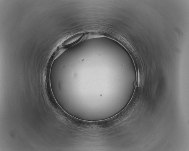 X0000112880483200909111446