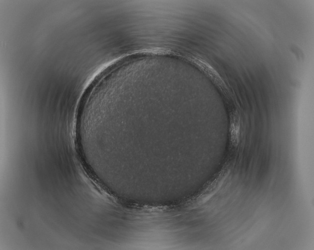 X0000112880484200909111446