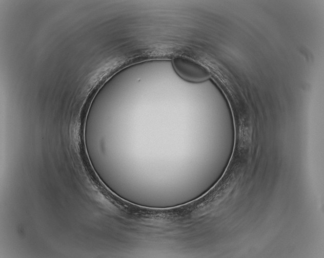 X0000112880485200909111446