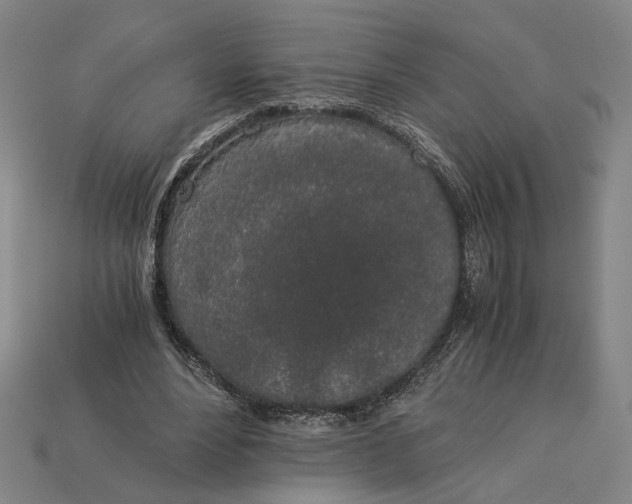 X0000112880488200909111446