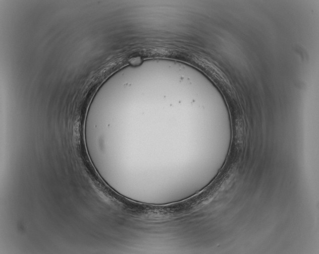 X0000112880489200909111446