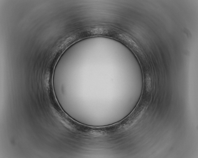 X0000112880490200909111446