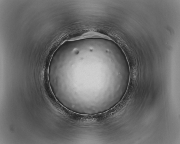 X0000112880491200909111446