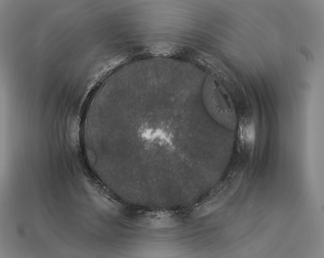 X0000112880492200909111446